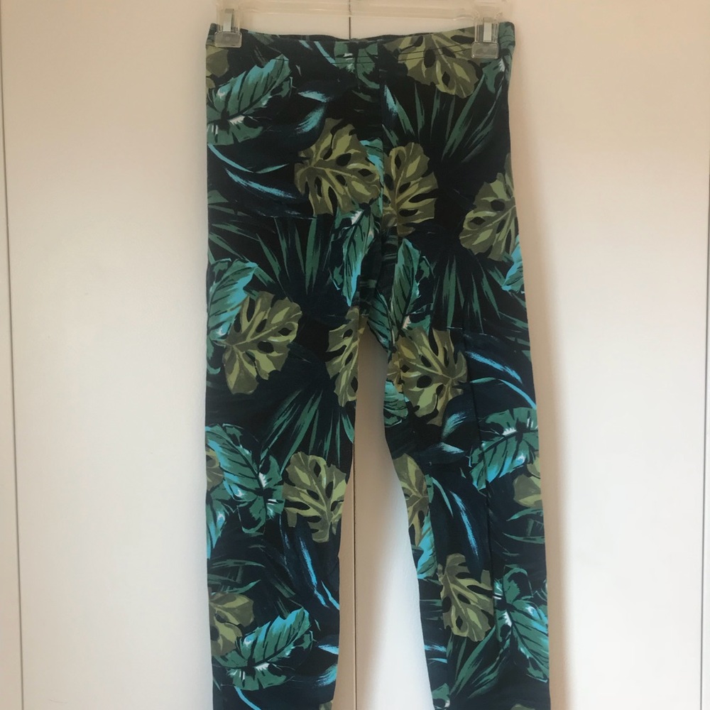 american apparel palm print leggings